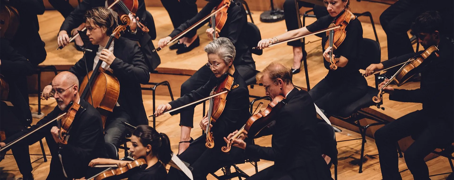 Portrait des Orchesters