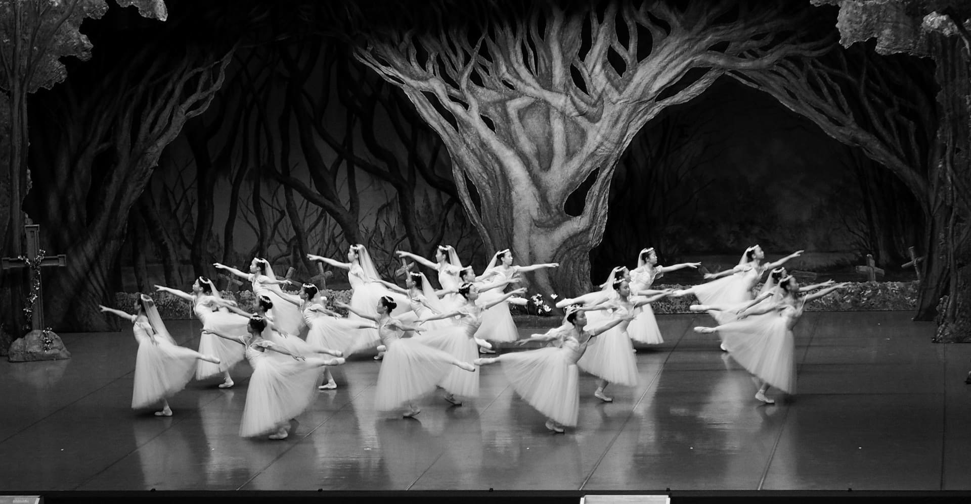 Ballet Preljocaj, El lago de los cisnes