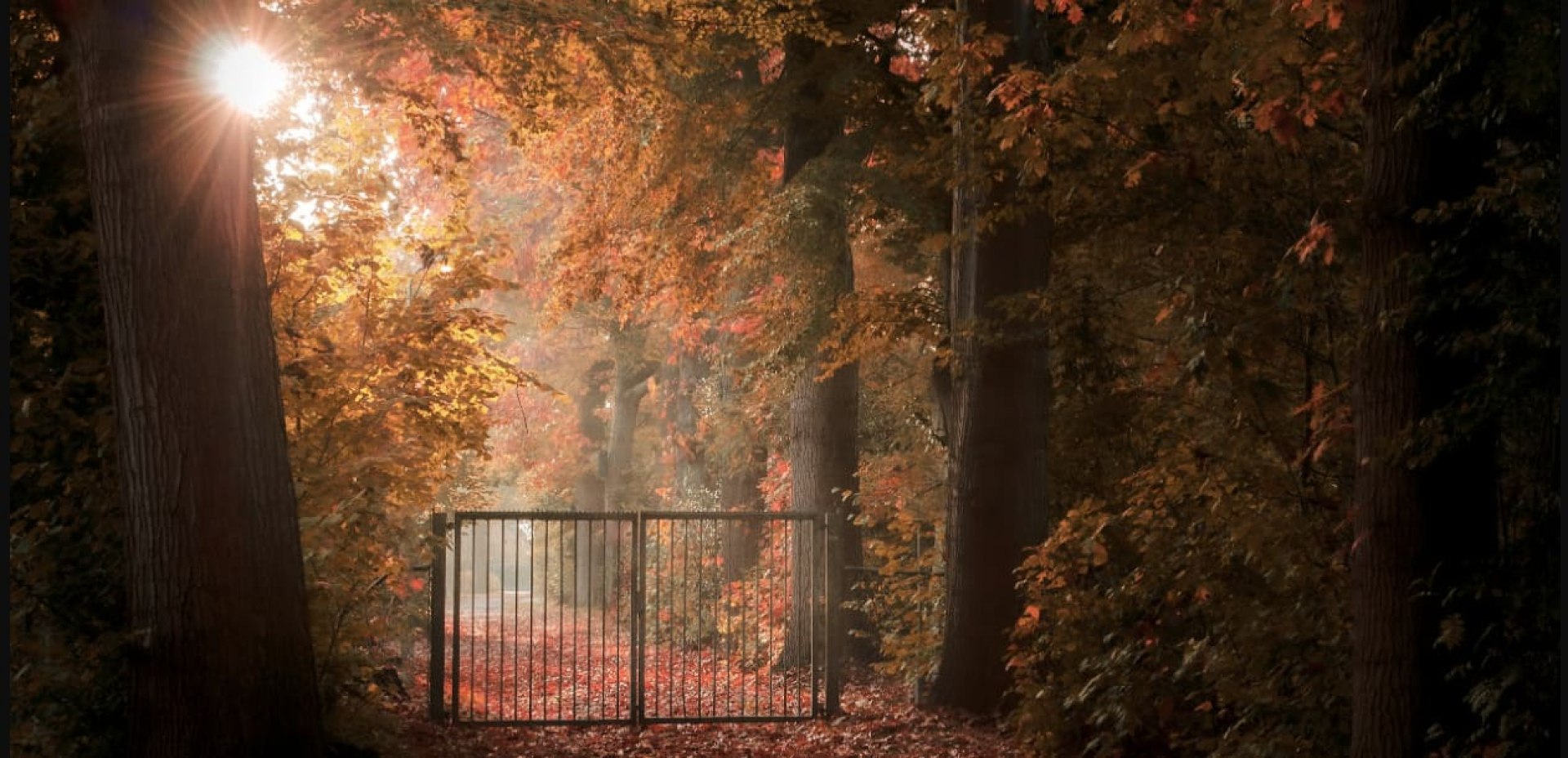 Mirror of Our Sorrows