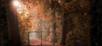 Mirror of Our Sorrows