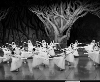 Ballet Preljocaj, Swan Lake