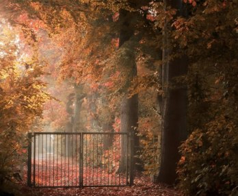 Mirror of Our Sorrows