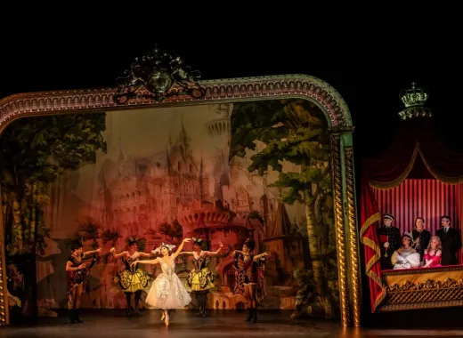Swan Lake