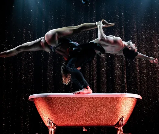 Espectáculos de cabaret Paradis Latin