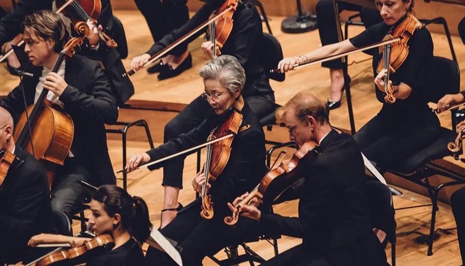 Portrait Of Orchestra