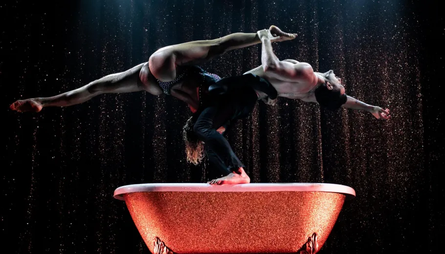 Paradis Latin Cabaret Shows
